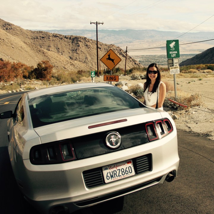 How did Canapé Queen&nbsp;start?